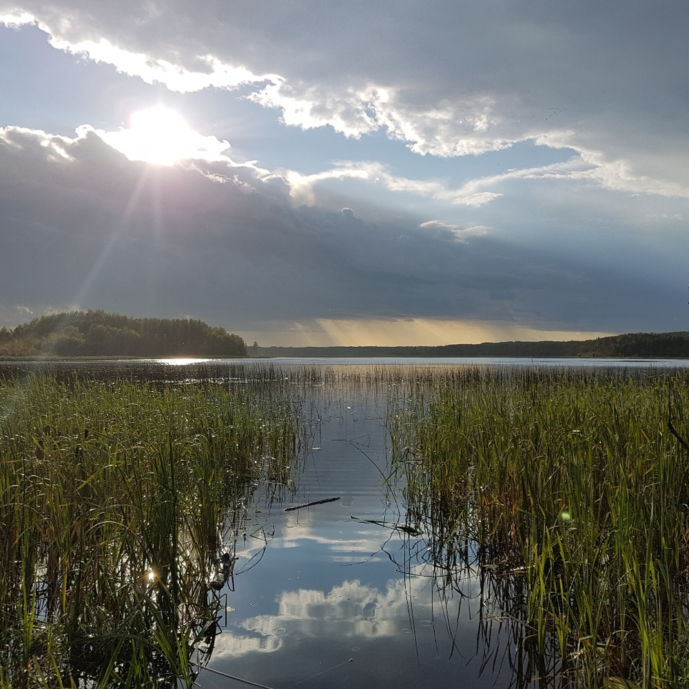 Meet your Posher, Posh